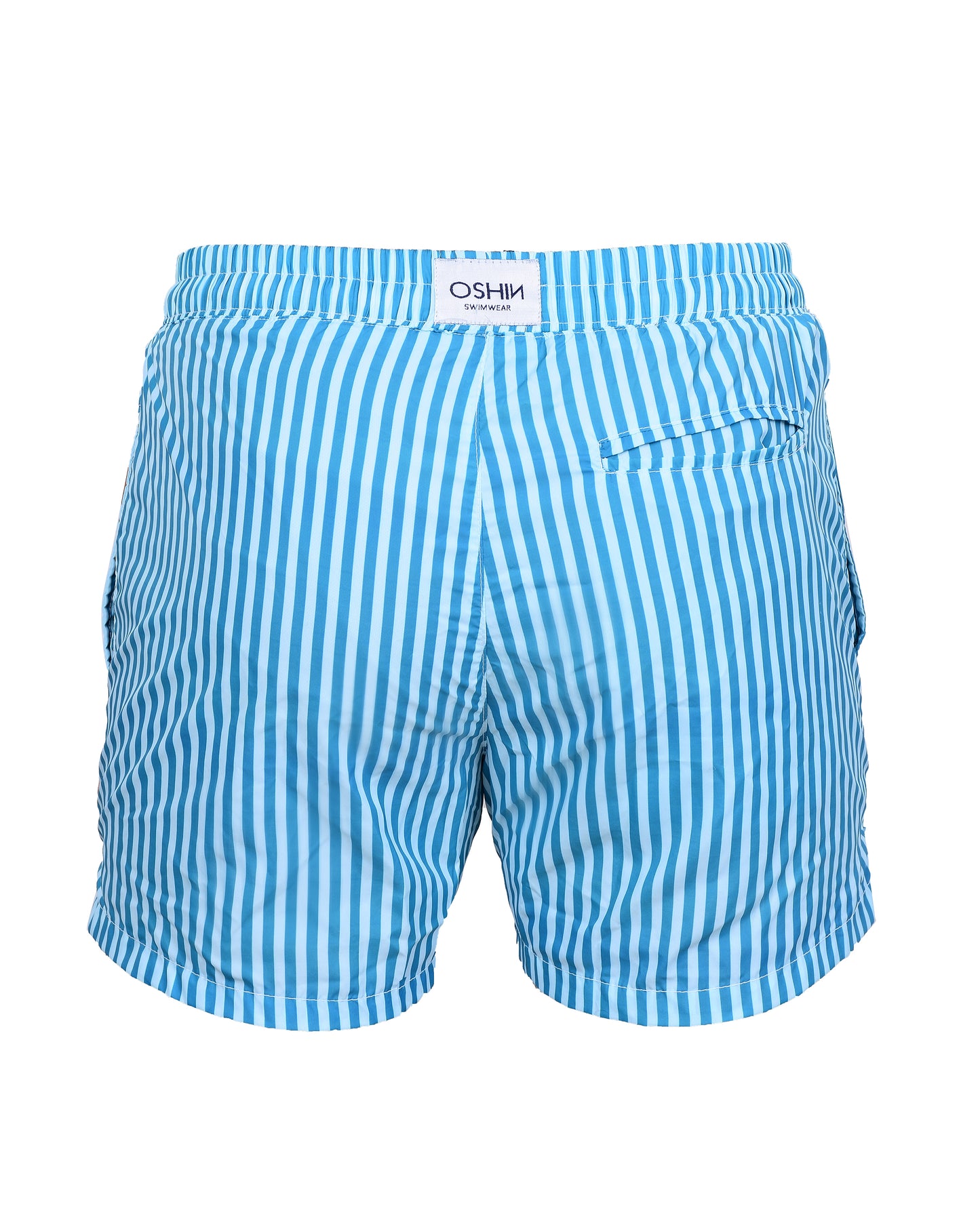 Emerald Striped Swim trunks